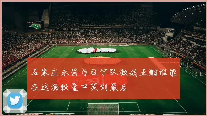 石家庄永昌与辽宁队激战正酣谁能在这场较量中笑到最后