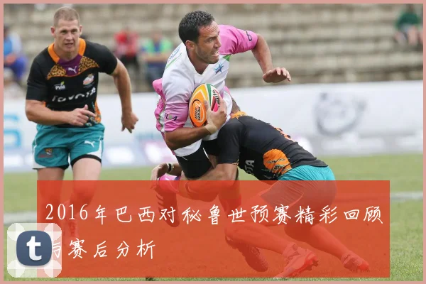 2016年巴西对秘鲁世预赛精彩回顾与赛后分析