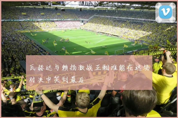 瓦赫达与赖扬激战正酣谁能在这场对决中笑到最后