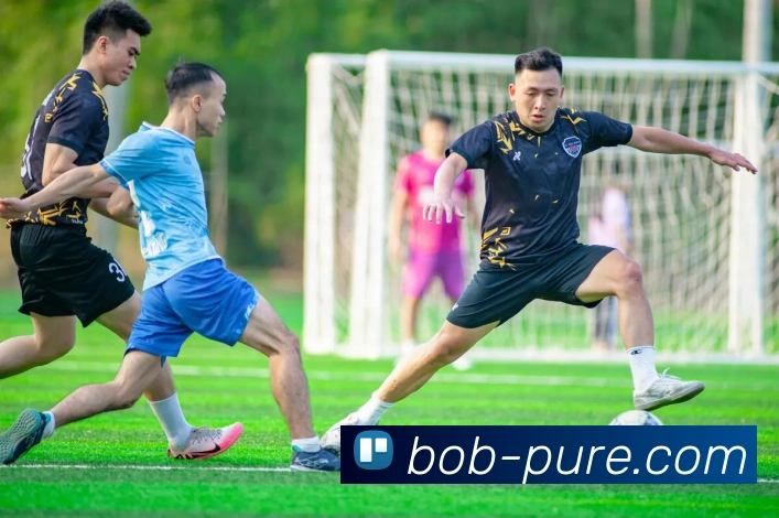 BOB体育发展历程